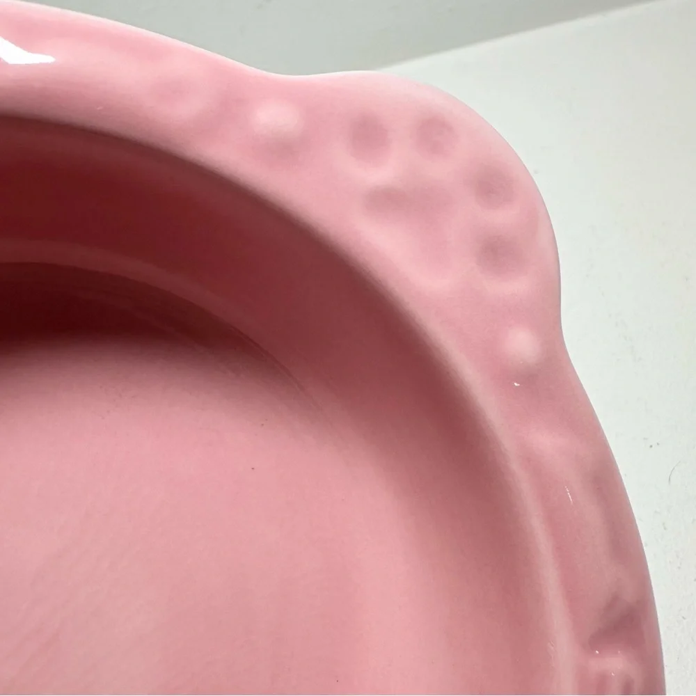 AQUAINNO Ceramic Cat Bowl Shallow Food Dish Pink and Blue New